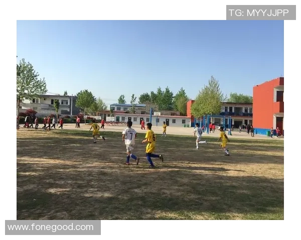 漯河足球热潮席卷全城青少年足球培训助力未来之星崛起