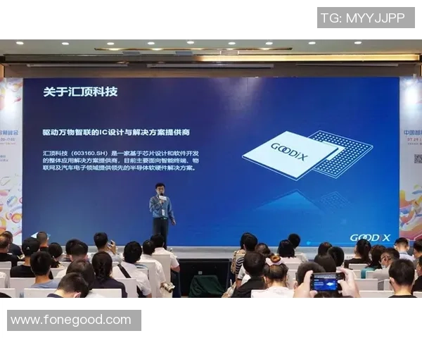 重磅专题：探秘杭州飞盘队边路渗透战术的创新与实践